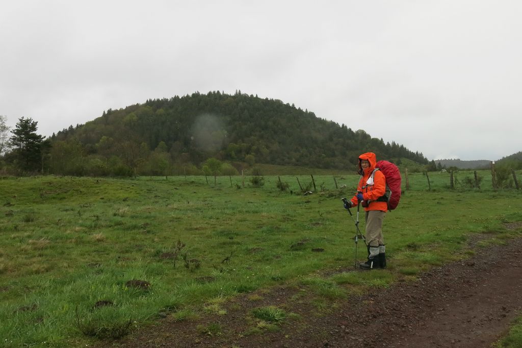 Début de la 3ème étape : Recoleine--> Col de Ceyssat sur le GR 30 .  Ici, vue sur le Puy de Pourcharet
